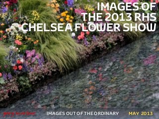 IMAGES OF
THE 2013 RHS
CHELSEA FLOWER SHOW
IMAGES OUT OF THE ORDINARY
 
gary marlowe MAY 2013
 