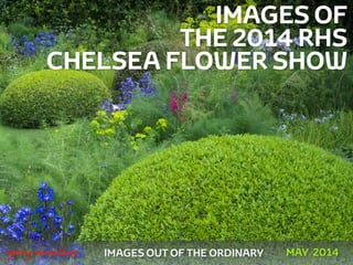 IMAGES OF
THE 2014 RHS
CHELSEA FLOWER SHOW
!
!
IMAGES OUT OF THE ORDINARY
 
gary marlowe MAY 2014
 