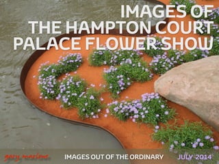 IMAGES OUT OF THE ORDINARY
 
gary marlowe JULY 2014
IMAGES OF
THE HAMPTON COURT
PALACE FLOWER SHOW
 