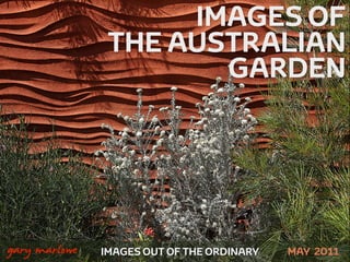IMAGES OF
                    THE AUSTRALIAN
                           GARDEN




!



    gary marlowe   IMAGES OUT OF THE ORDINARY   MAY 2011
 
