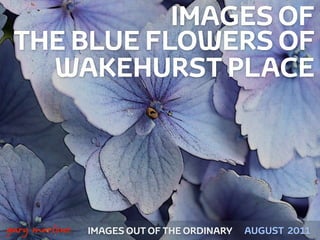 IMAGES OF
     THE BLUE FLOWERS OF
       WAKEHURST PLACE




!



    gary marlowe   IMAGES OUT OF THE ORDINARY   AUGUST 2011
 