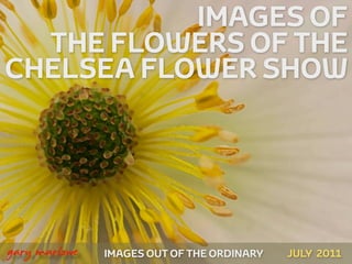IMAGES OF
      THE FLOWERS OF THE
    CHELSEA FLOWER SHOW




!



    gary marlowe   IMAGES OUT OF THE ORDINARY   JULY 2011
 