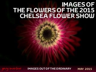 IMAGES OF
THE FLOWERS OF THE 2015
CHELSEA FLOWER SHOW
!
!
IMAGES OUT OF THE ORDINARY
 
gary marlowe MAY 2015
 