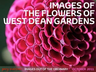 IMAGES OF
       THE FLOWERS OF
    WEST DEAN GARDENS




!



    gary marlowe   IMAGES OUT OF THE ORDINARY   OCTOBER 2011
 