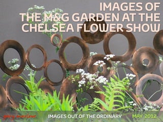 IMAGES OF
         THE M&G GARDEN AT THE
         CHELSEA FLOWER SHOW




 



    gary marlowe   IMAGES OUT OF THE ORDINARY   MAY 2012
 