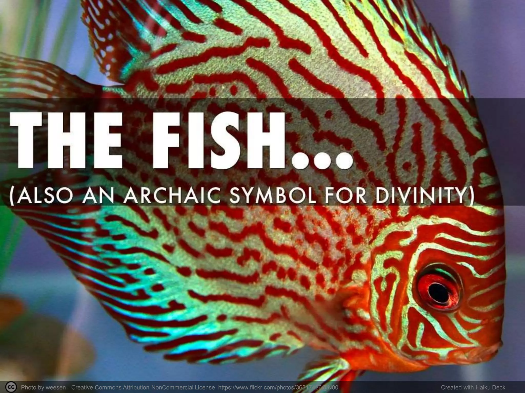 Photo by weesen - Creative Commons Attribution-NonCommercial License https://www.flickr.com/photos/36317426@N00 Created with Haiku Deck