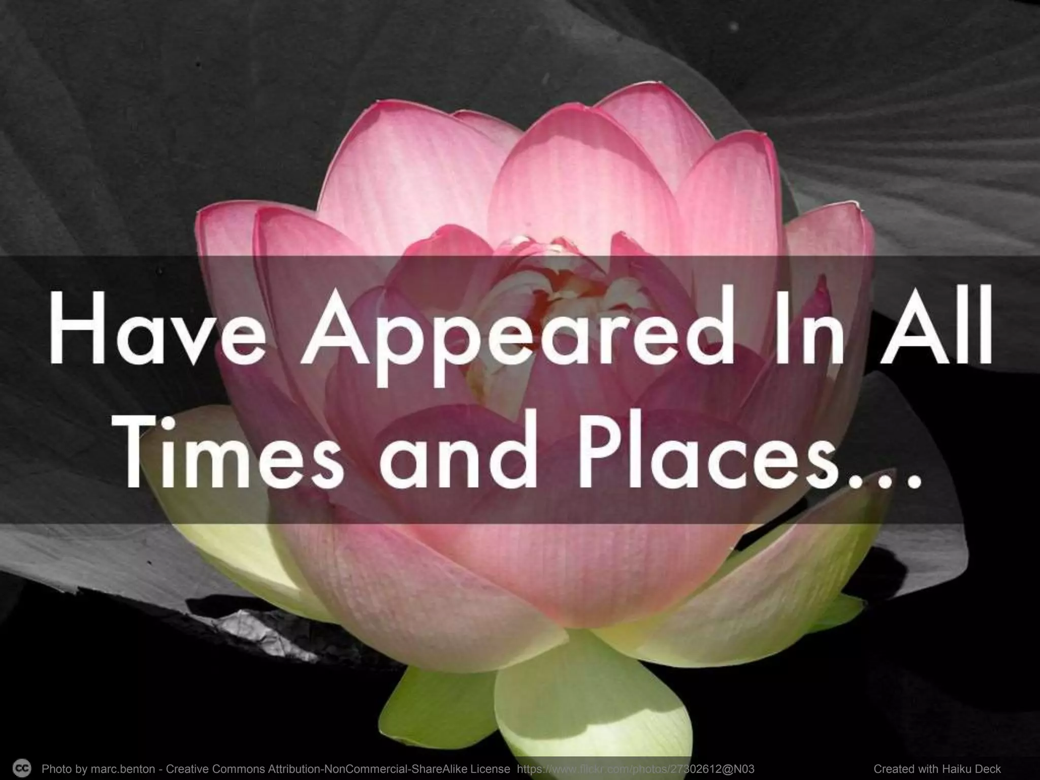 Photo by marc.benton - Creative Commons Attribution-NonCommercial-ShareAlike License https://www.flickr.com/photos/27302612@N03 Created with Haiku Deck