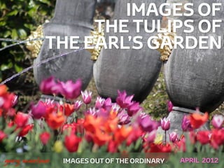 IMAGES OF
                   THE TULIPS OF
              THE EARL’S GARDEN




 



    gary marlowe   IMAGES OUT OF THE ORDINARY   APRIL 2012
 
