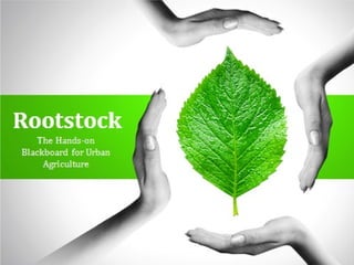 Rootstock Pitch Deck (v2:Images) | PPT