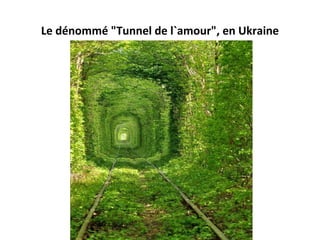 Le dénommé "Tunnel de l`amour", en Ukraine
 