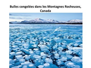 Bulles congelées dans les Montagnes Rocheuses,
Canada
 