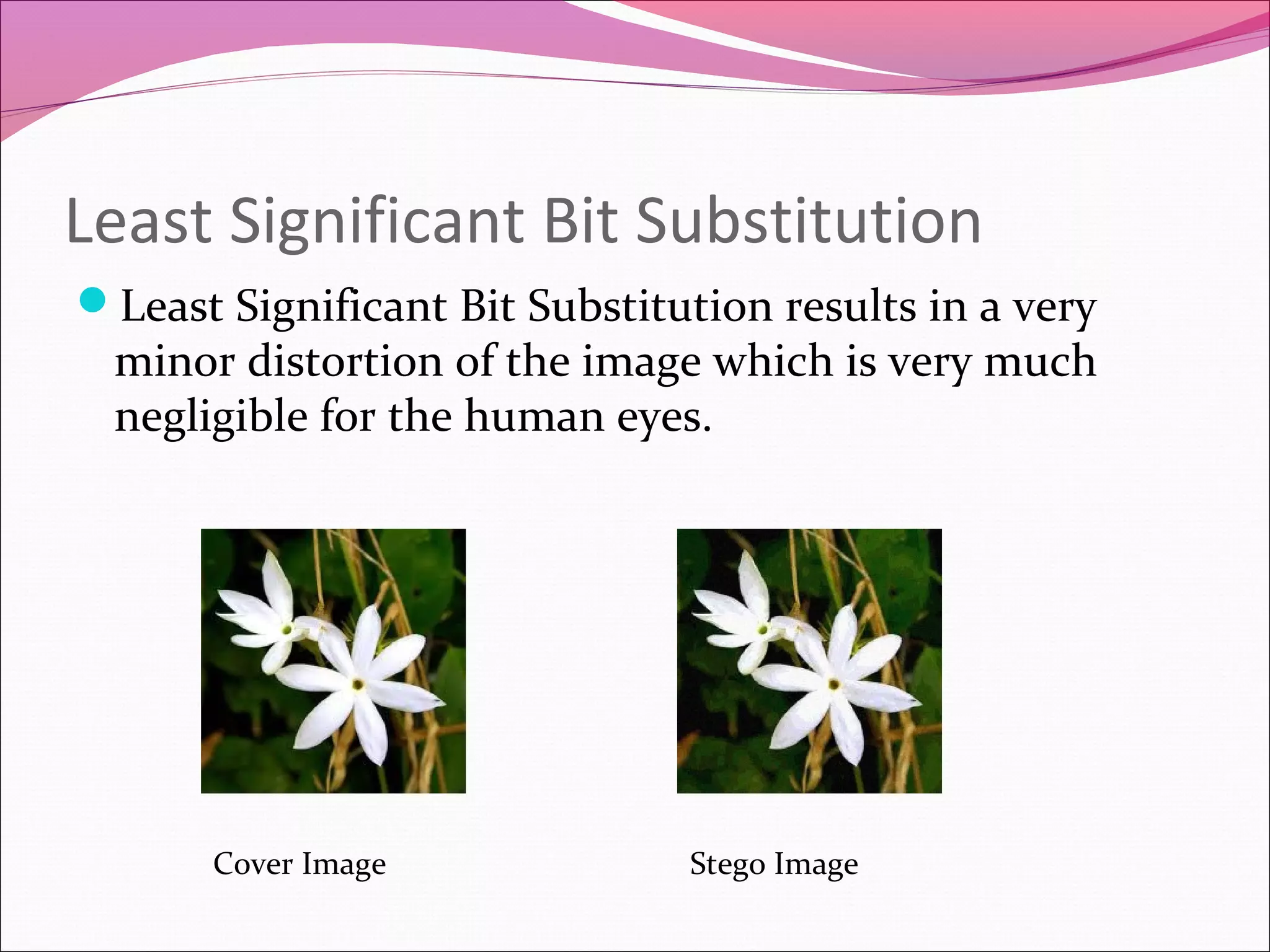 Least Significant Bit Substitution
Least Significant Bit Substitution results in a very
minor distortion of the image which is very much
negligible for the human eyes.
Stego ImageCover Image
 