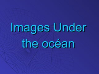 Images Under the océan 