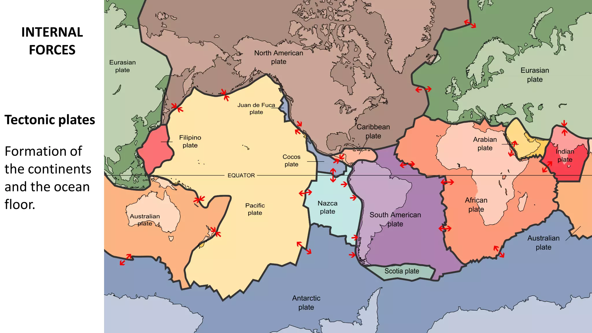 Tectonic plates
Formation of
the continents
and the ocean
floor.
INTERNAL
FORCES
 