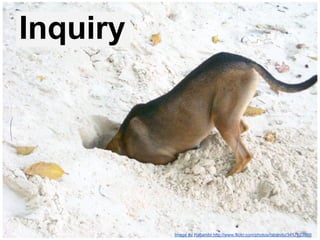 Inquiry

Image by Rabanito http://www.flickr.com/photos/rabanito/3417623960

 