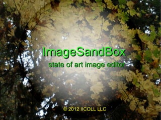 ImageSandBox
state of art image editor




    © 2012 IICOLL LLC
 