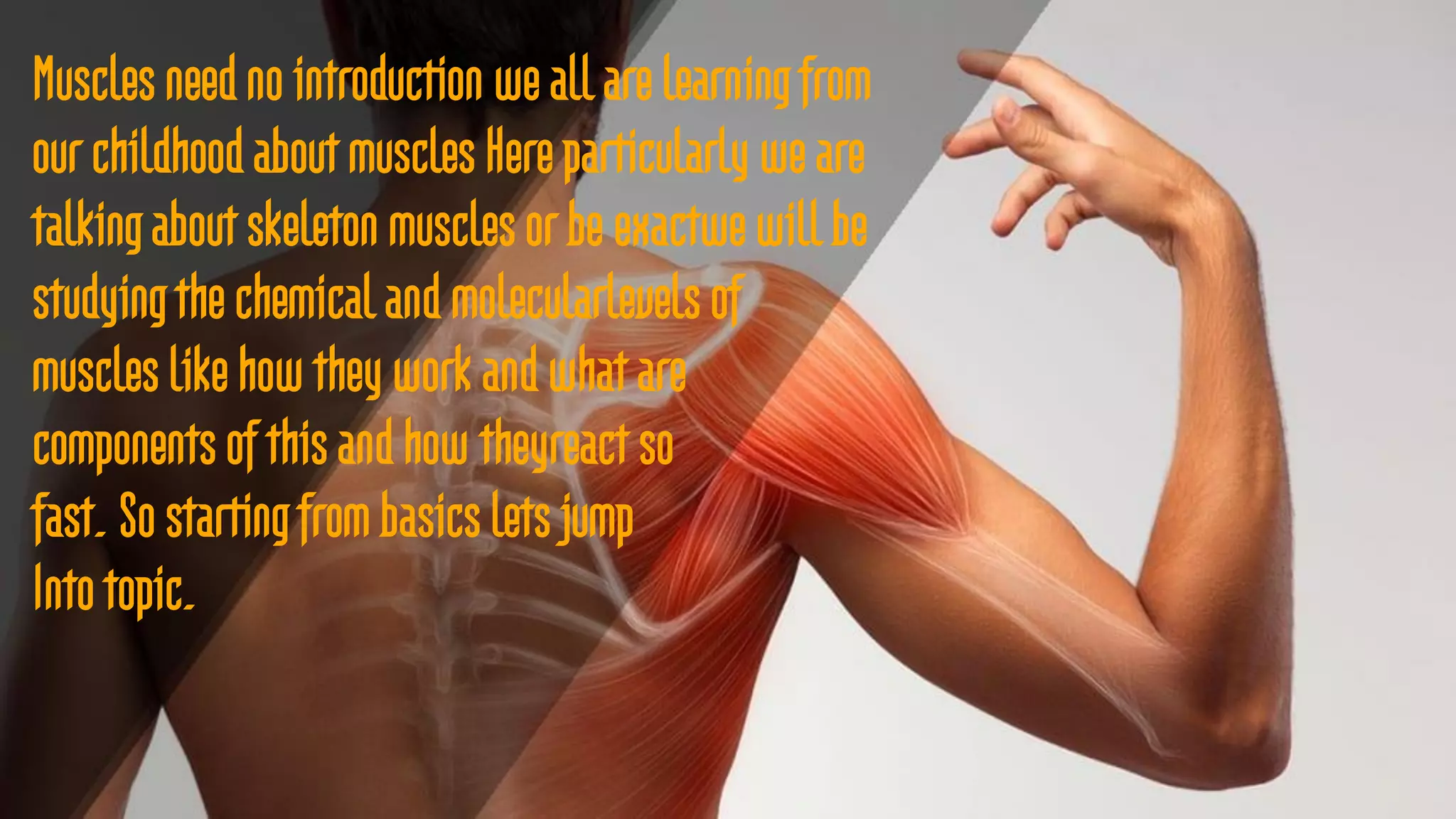 Muscles need no introduction we all are learning from
our childhood about muscles Here particularly we are
talking about skeleton muscles or be exactwe will be
studying the chemical and molecularlevels of
muscles like how they work and what are
components of this and how theyreact so
fast. So starting from basics lets jump
Into topic.
 