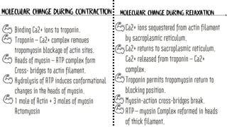 Chemical and molecular basis of muscle contraction | PDF