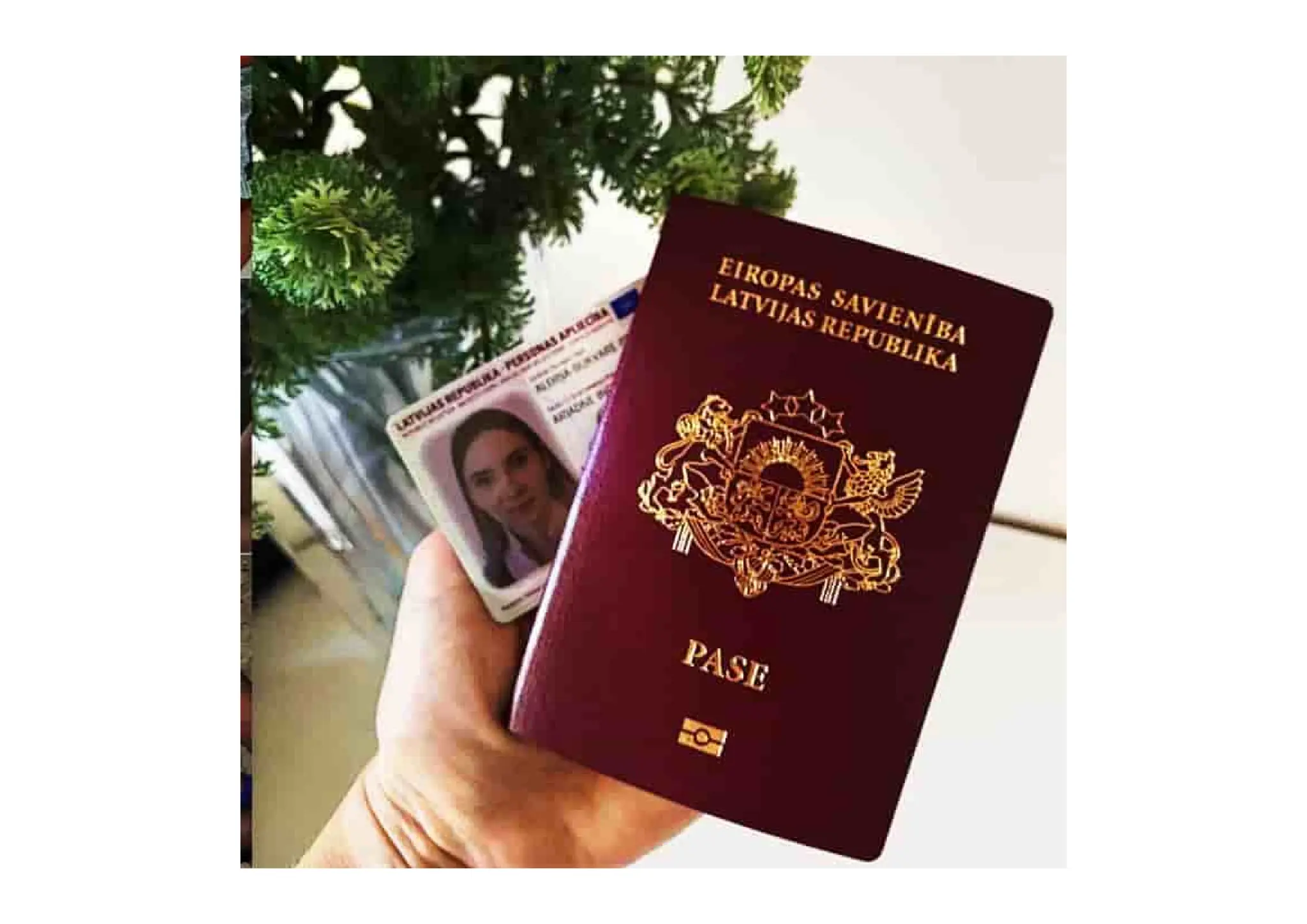 护照办理流程一览表：一步步教您如何轻松拿到护照【微信:anren198】小小护照，科技堡垒：揭秘护照里的防伪“黑科技” | PDF