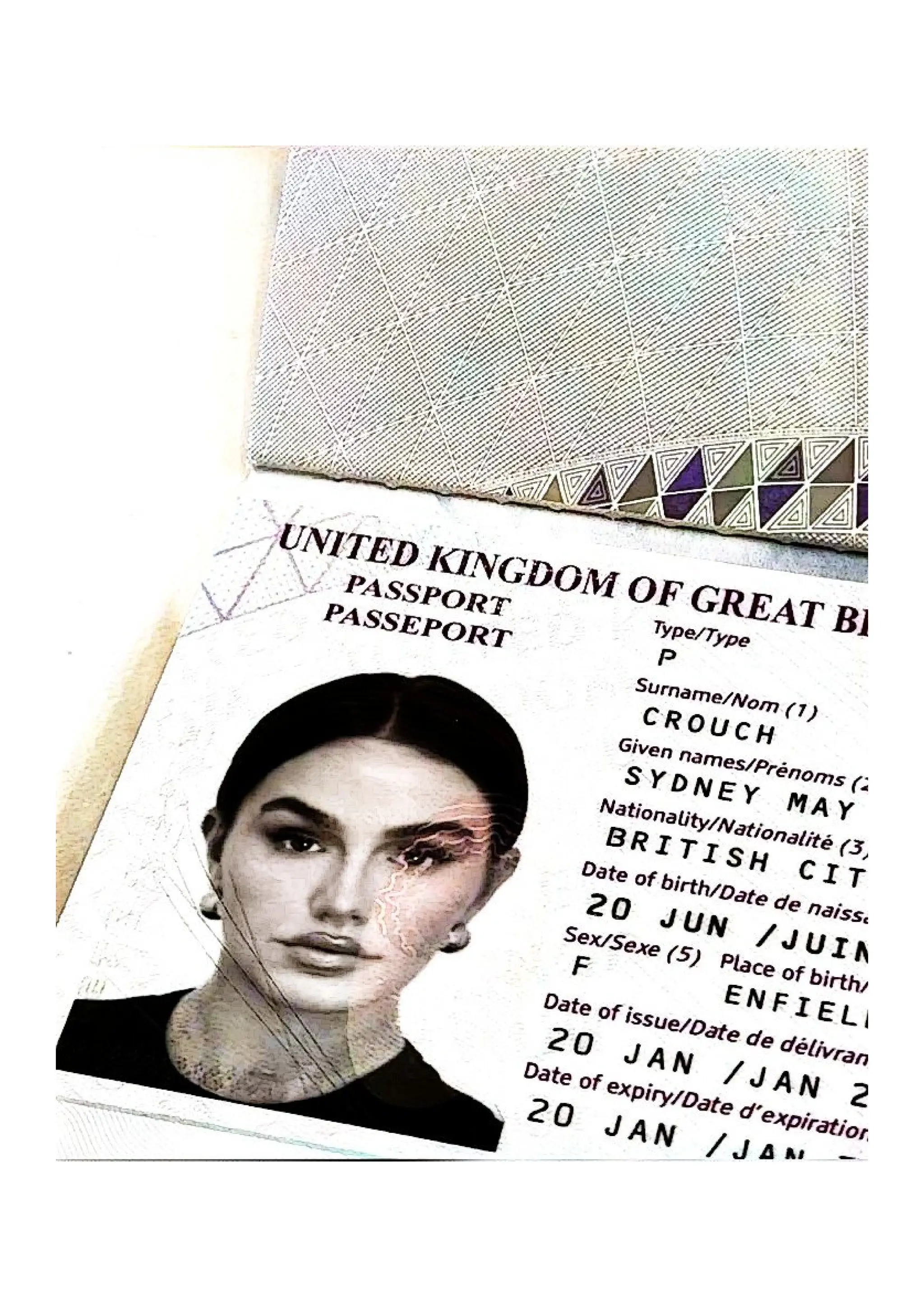 美国高仿护照办理全流程拆解：芯片复刻+三重防伪技术解析美国高仿护照,办理流程,芯片防伪| PDF