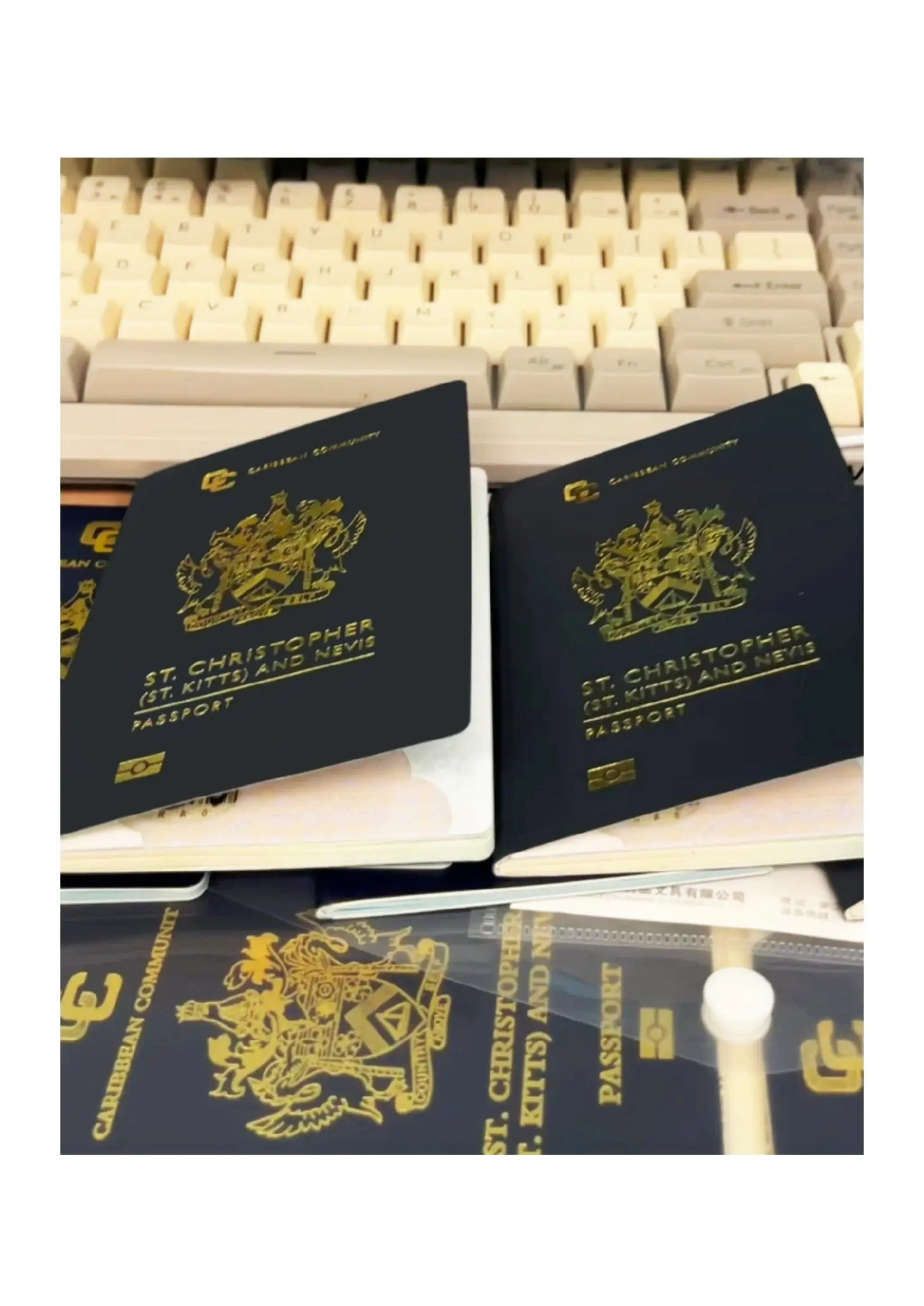 美国绿卡办理加拿大驾照制作【QQ:2951089139】可扫码镭射防伪工艺解析美国绿卡,加拿大驾照,海外驾照| PDF