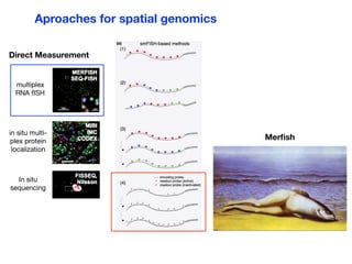 Image Based Transcriptomics: An Overview | PDF