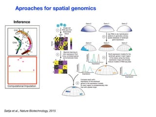 Image Based Transcriptomics: An Overview | PDF