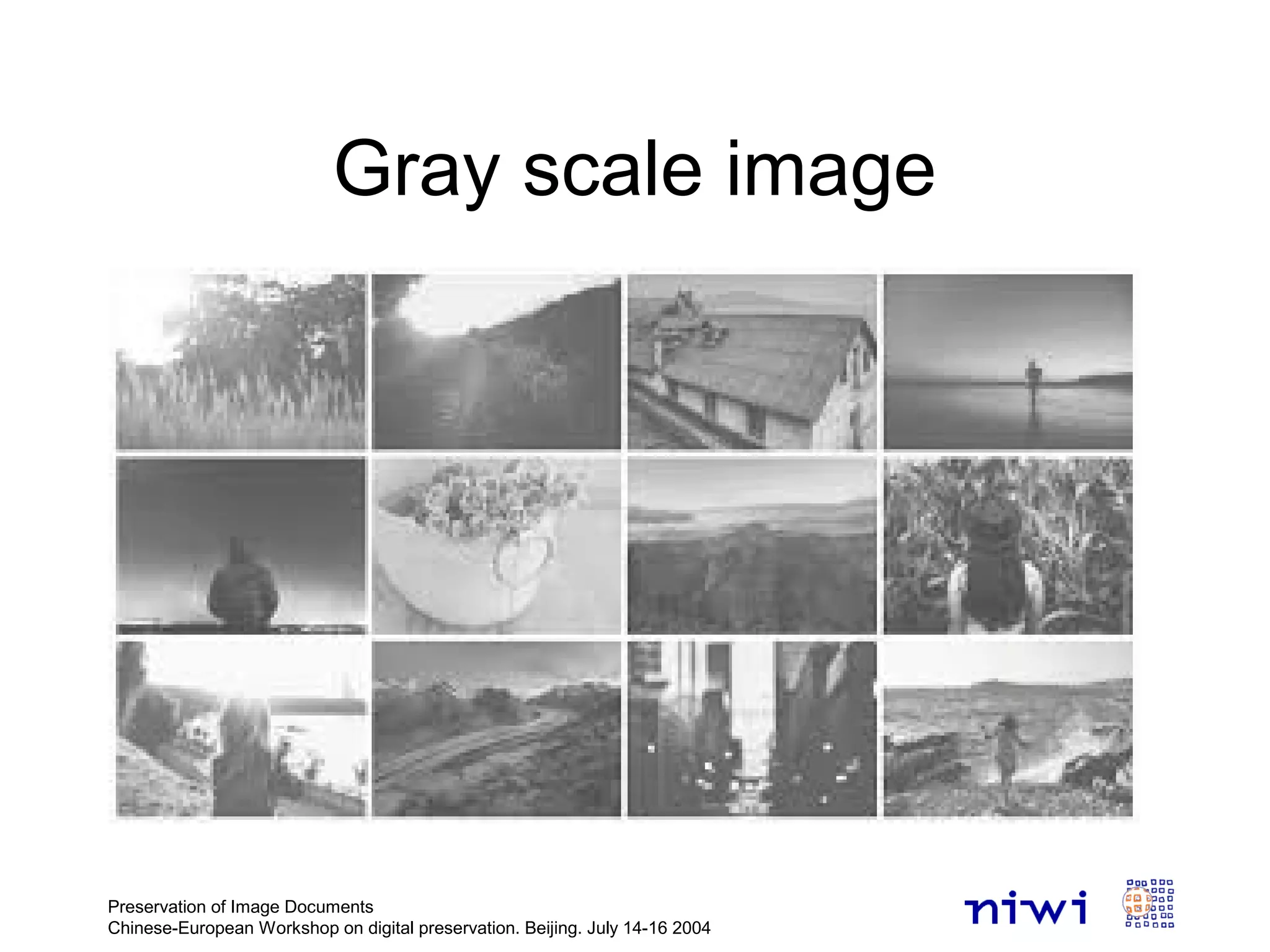 Gray scale image
Preservation of Image Documents
Chinese-European Workshop on digital preservation. Beijing. July 14-16 2004
 