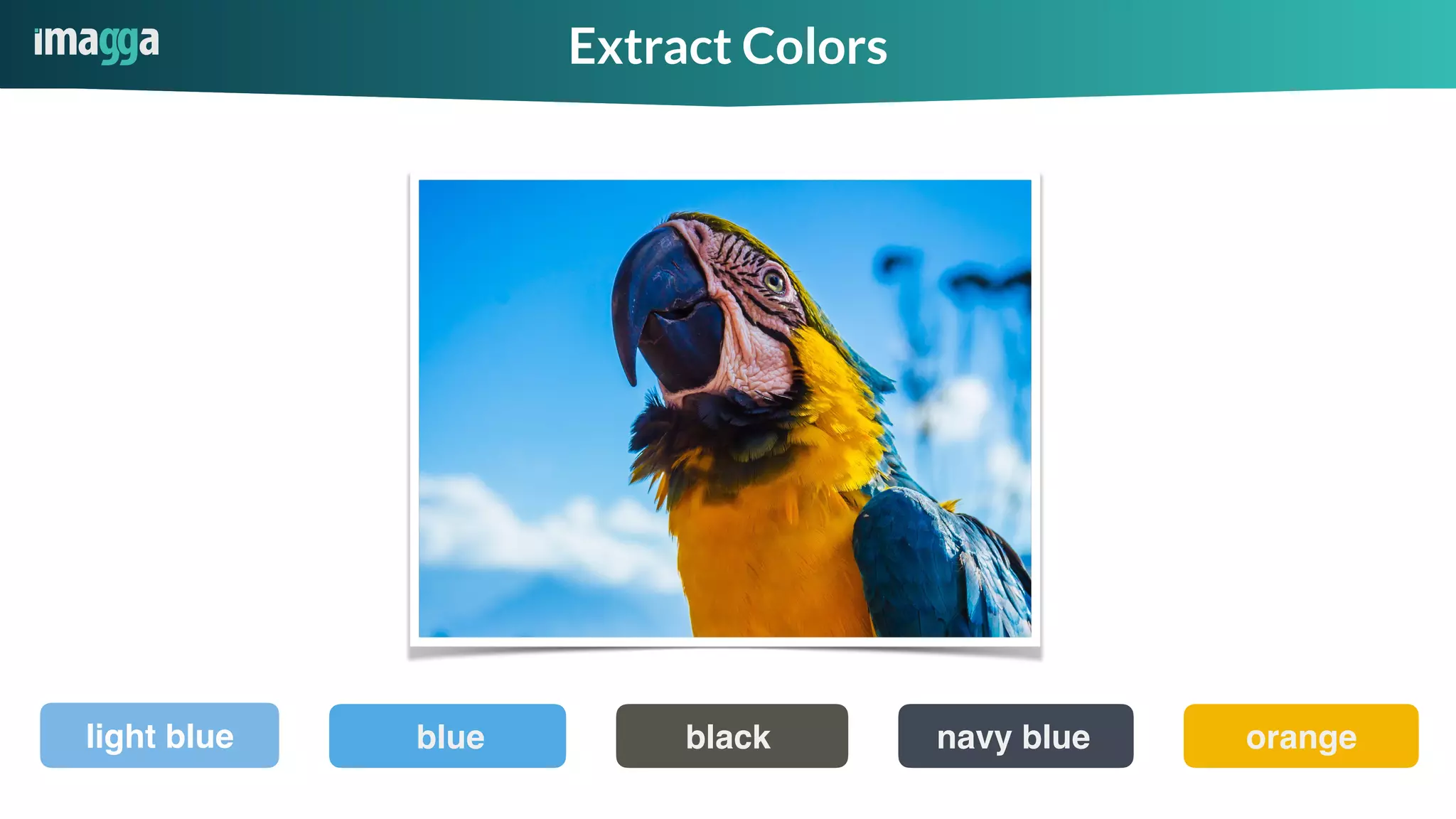 Extract Colors
blue blacklight blue navy blue orange
 