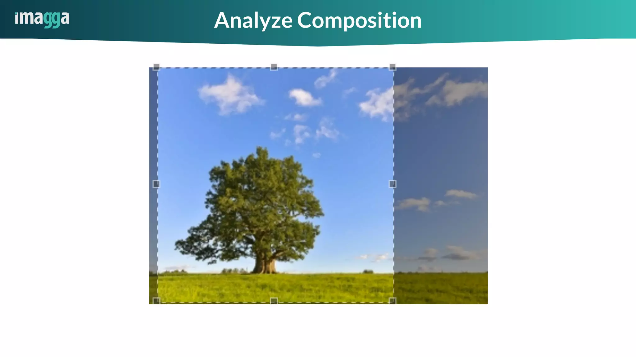 Analyze Composition
 