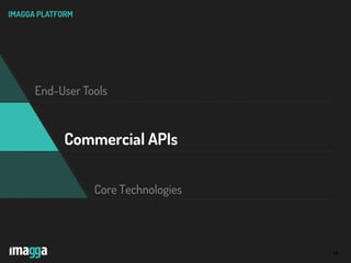 18
IMAGGA PLATFORM
End-User Tools
Core Technologies
Commercial APIs
 