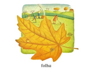 Imagina - pré mourão