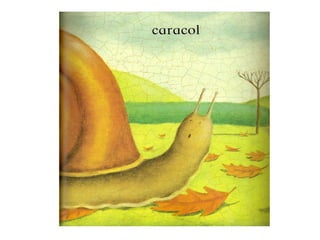 Imagina - pré mourão