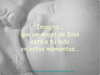 Imagina...
que un Ángel de Dios
está a tu lado
en estos momentos...

Visita: http://www.RenuevoDePlenitud.com

 