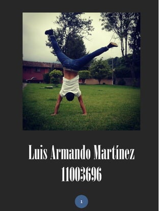 Luis Armando Martínez
       11003696
          1
 