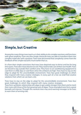 10
Simple, but Creative
Among the many things trees teach us is their ability to do complex reactions and functions
with great simplicity. From very few simple chemicals trees are able to transform them into
complex molecules with a purpose. Trees have discovered that complexity comes from the
feedback of few simple reactants much earlier than us.
It is from their simple restrictions that trees have depicted ways to thrive and live for long
timespans.Treesdon›thavedoctorstovisit.Theyneedtotakecareoftheirownhealth.Trees
are forced to stay outside their comfort zone. They have no air conditioning equipment to
cool them in chilly days or cool them when the ambient are high. Trees have to stay on the
edge to adapt for the uncontrollable environment. Trees face great challenges to which
they respond with many creative strategies. In every part of a tree we shall find creative
solutions from which we can learn a lot.
Trees have to stay on the edge to adapt for the uncontrollable environment. Trees face
great challenges to which they respond with many creative strategies.
Trees form symbiotic relationship with algae to get usable nitrogen from them and to mesh
their roots with those of the fast growing roots of algae.These entangled roots form a great
beneath-soil internet. Through this network trees may send warning messages to far trees
to warn them of arriving risks.
 