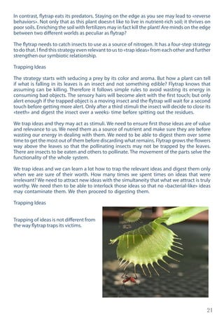 21
In contrast, flytrap eats its predators. Staying on the edge as you see may lead to «reverse
behaviors». Not only that as this plant doesn›t like to live in nutrient-rich soil; it thrives on
poor soils. Enriching the soil with fertilizers may in fact kill the plant! Are minds on the edge
between two different worlds as peculiar as flytrap?
The flytrap needs to catch insects to use as a source of nitrogen. It has a four-step strategy
to do that. I find this strategy even relevant to us to «trap ideas» from each other and further
strengthen our symbiotic relationship.
Trapping Ideas
The strategy starts with seducing a prey by its color and aroma. But how a plant can tell
if what is falling in its leaves is an insect and not something edible? Flytrap knows that
assuming can be killing. Therefore it follows simple rules to avoid wasting its energy in
consuming bad objects. The sensory hairs will become alert with the first touch; but only
alert enough if the trapped object is a moving insect and the flytrap will wait for a second
touch before getting more alert. Only after a third stimuli the insect will decide to close its
«teeth» and digest the insect over a weeks› time before spitting out the residues.
We trap ideas and they may act as stimuli. We need to ensure first those ideas are of value
and relevance to us. We need them as a source of nutrient and make sure they are before
wasting our energy in dealing with them. We need to be able to digest them over some
time to get the most out of them before discarding what remains. Flytrap grows the flowers
way above the leaves so that the pollinating insects may not be trapped by the leaves.
There are insects to be eaten and others to pollinate. The movement of the parts selve the
functionality of the whole system.
We trap ideas and we can learn a lot how to trap the relevant ideas and digest them only
when we are sure of their worth. How many times we spent times on ideas that were
irrelevant? We need to attract new ideas with the simultaneity that what we attract is truly
worthy. We need then to be able to interlock those ideas so that no «bacterial-like» ideas
may contaminate them. We then proceed to digesting them.
Trapping Ideas
Trapping of ideas is not different from
the way flytrap traps its victims.
 