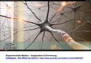 Experimentelle Medien – Imagination & Erinnerung 
Intelligenz - Der Blick ins Gehirn / http://www.youtube.com/watch?v=ozX-4AKPVEY 
 