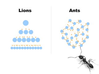 Ants Lions 