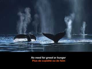No need for greed or hunger   Plus de cupidité ou de faim 
