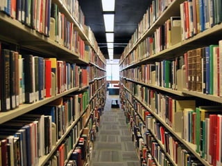 Library Shelves 