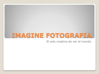 IMAGINE FOTOGRAFIA
El arte creativo de ver el mundo
 