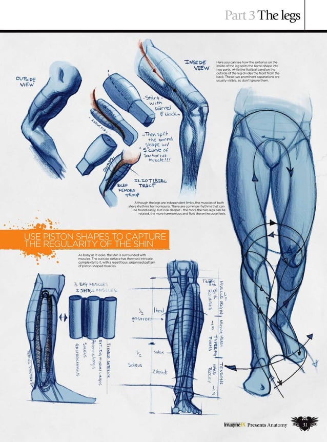 Imaginefx howtodrawandpaintanatomy2010 PDF