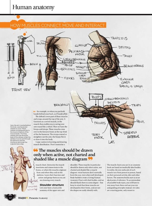 Imaginefx howtodrawandpaintanatomy2010