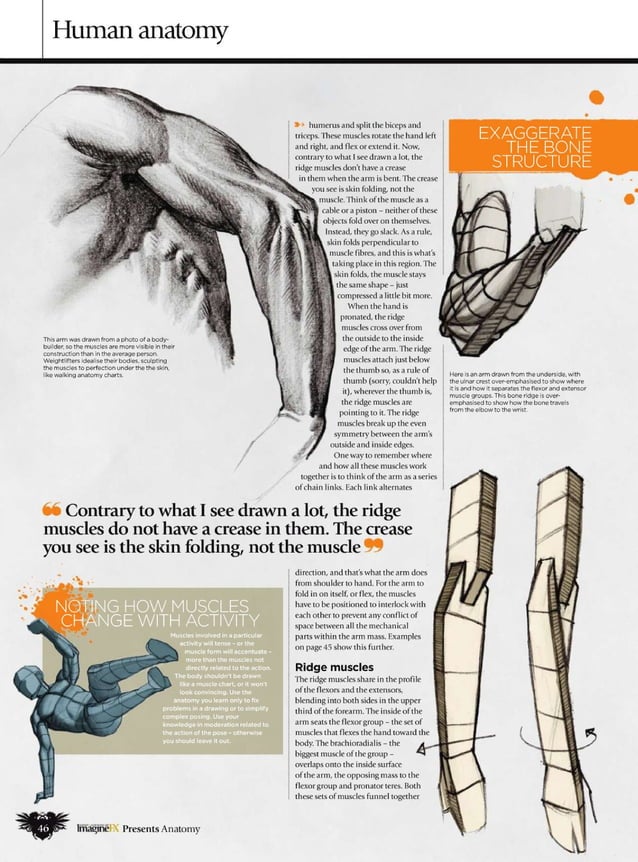 Imaginefx howtodrawandpaintanatomy2010