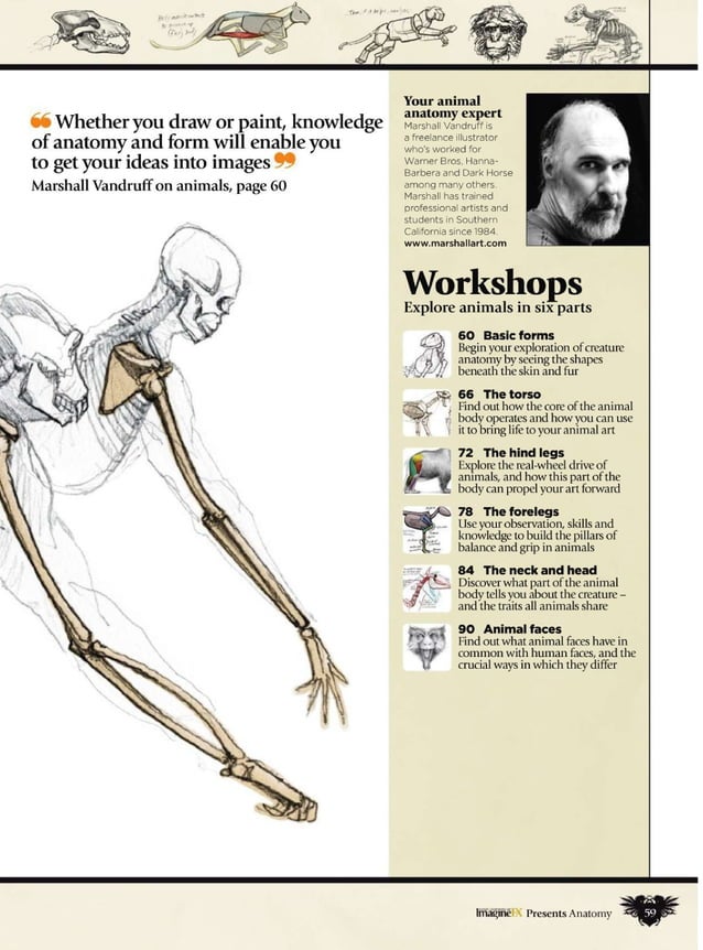 Imaginefx howtodrawandpaintanatomy2010