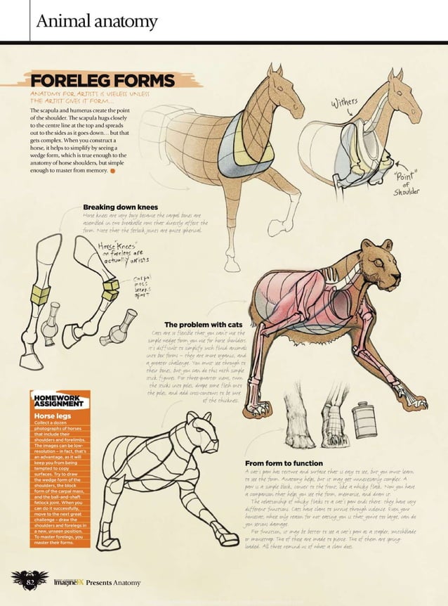 Imaginefx howtodrawandpaintanatomy2010