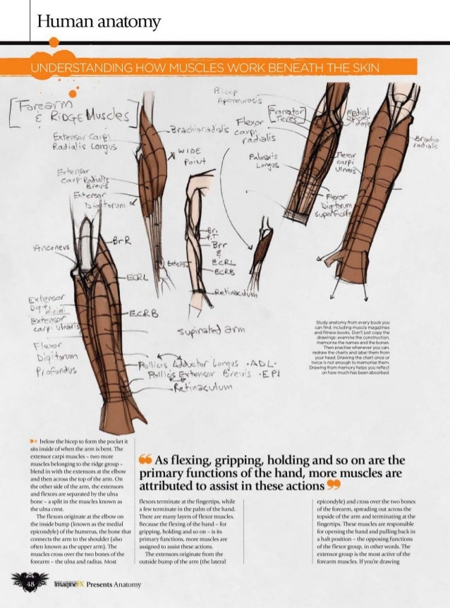 Imaginefx howtodrawandpaintanatomy2010