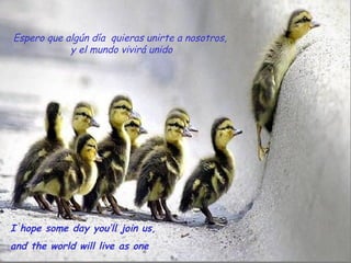 I hope some day you’ll join us,
and the world will live as one
Espero que algún día quieras unirte a nosotros,
y el mundo vivirá unido
 