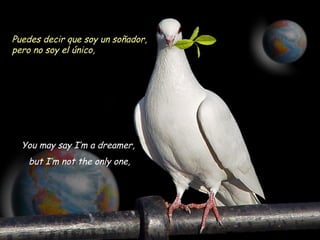 You may say I’m a dreamer,
but I’m not the only one,
Puedes decir que soy un soñador,
pero no soy el único,
 